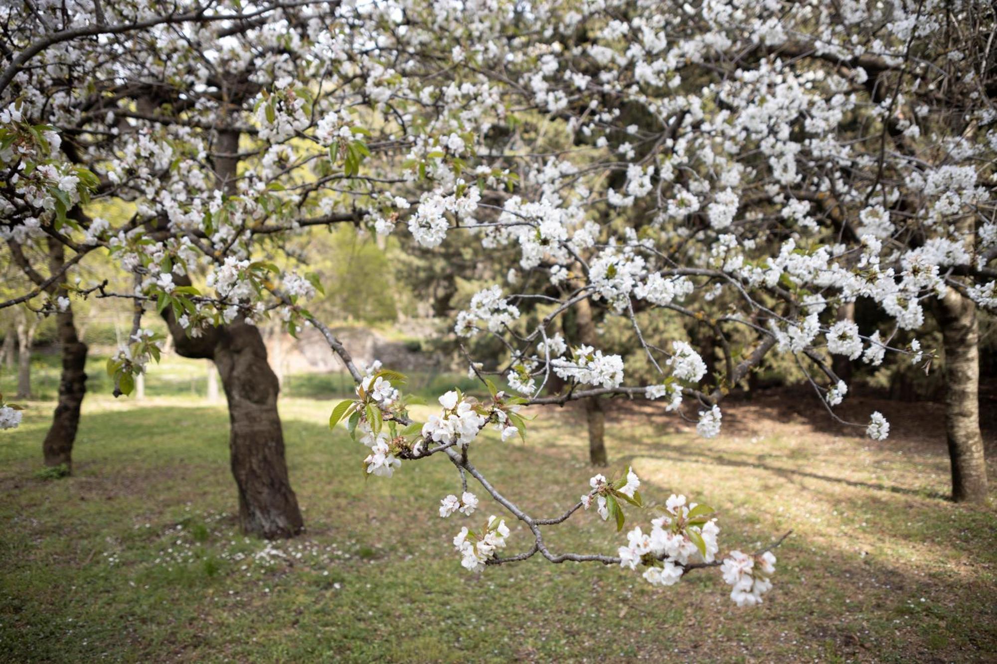 Parco Statella Βίλα Montelaguardia Εξωτερικό φωτογραφία