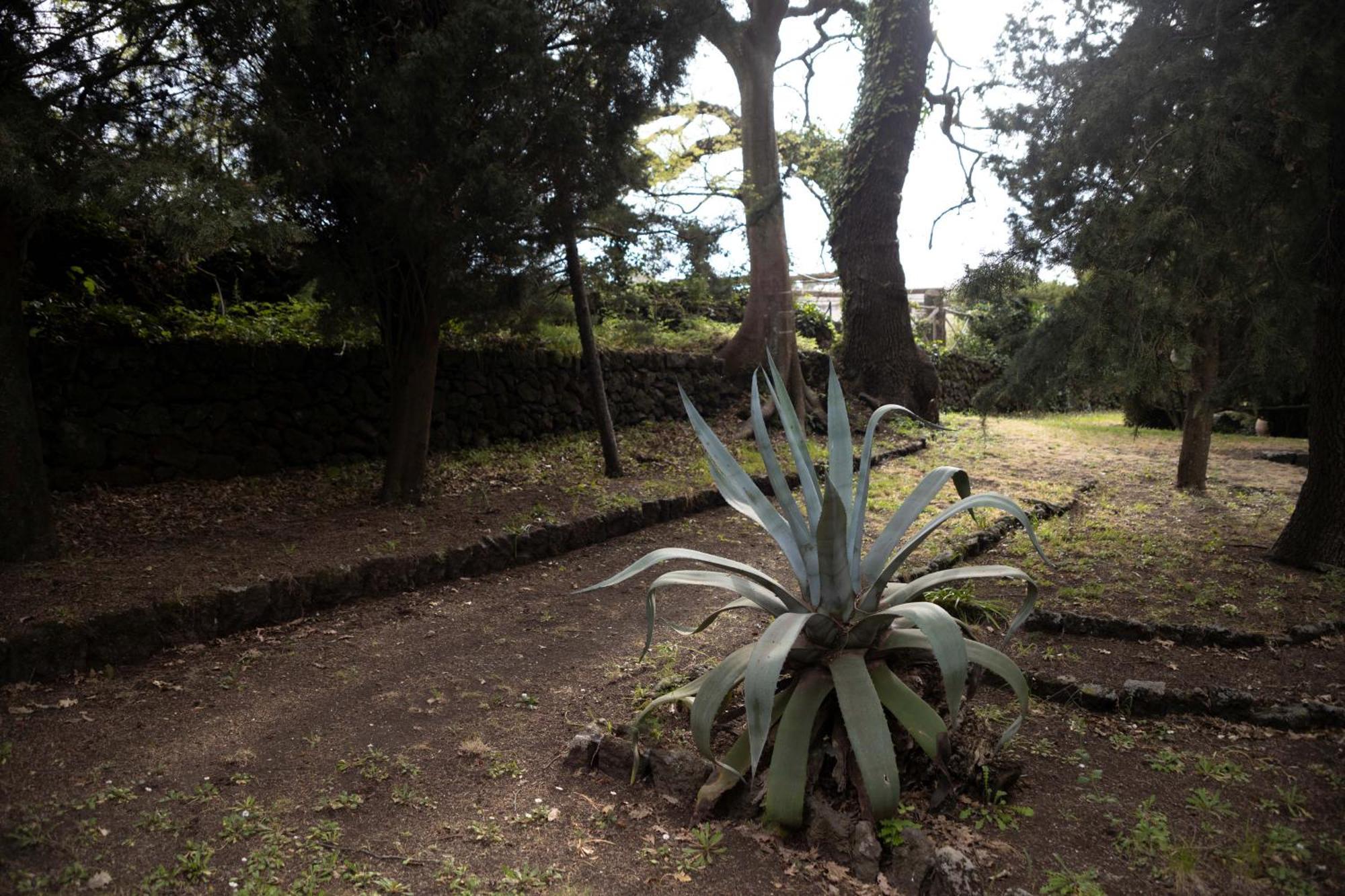 Parco Statella Βίλα Montelaguardia Εξωτερικό φωτογραφία