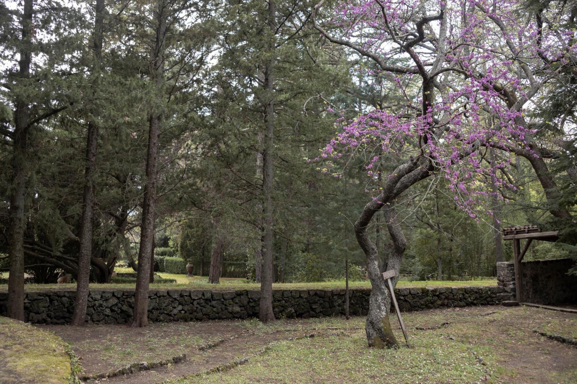 Parco Statella Βίλα Montelaguardia Εξωτερικό φωτογραφία