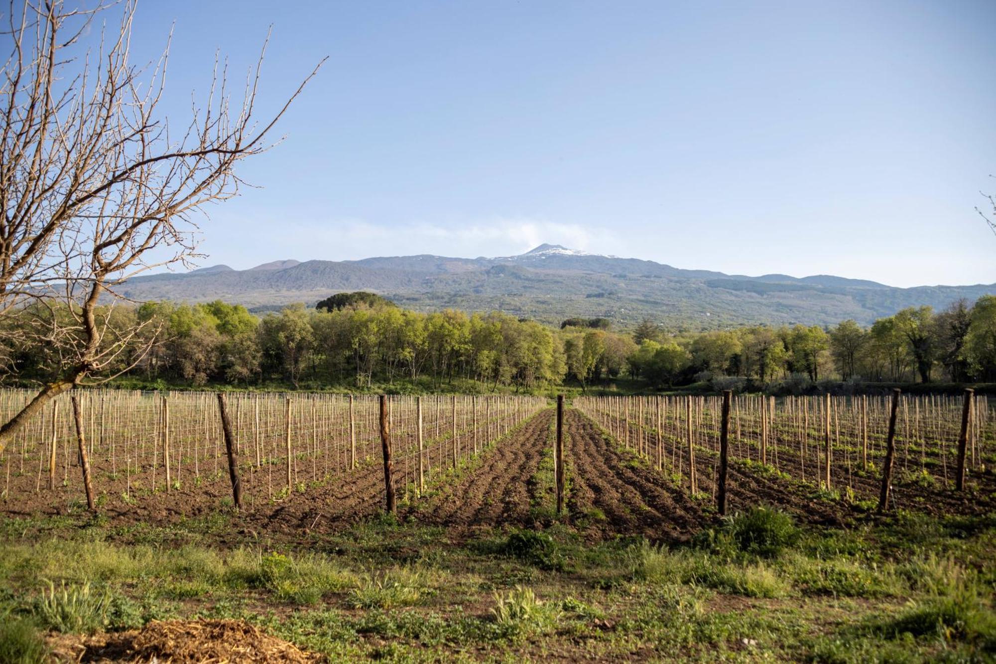 Parco Statella Βίλα Montelaguardia Εξωτερικό φωτογραφία