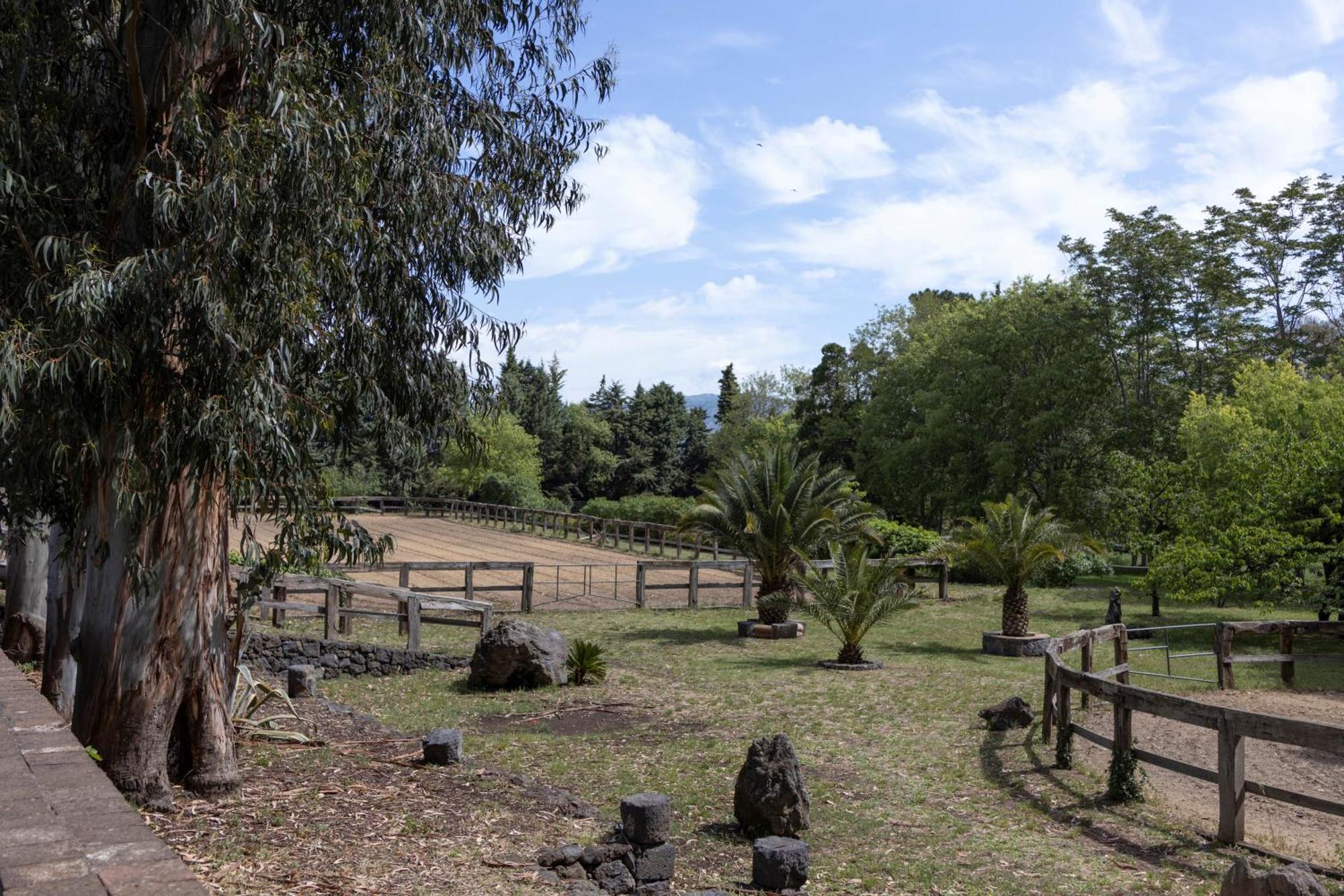 Parco Statella Βίλα Montelaguardia Εξωτερικό φωτογραφία