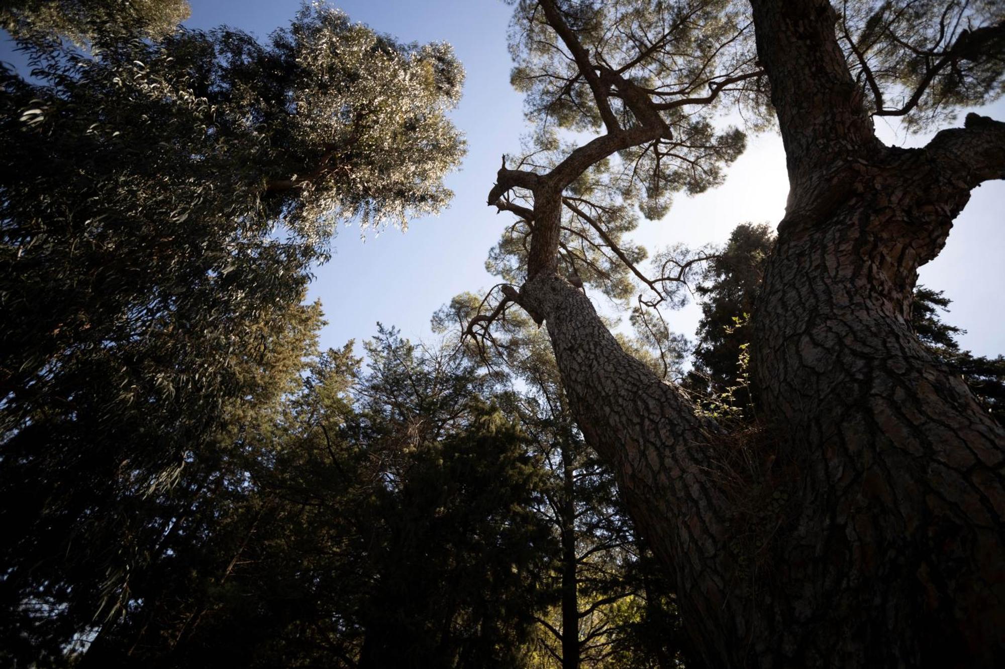 Parco Statella Βίλα Montelaguardia Εξωτερικό φωτογραφία
