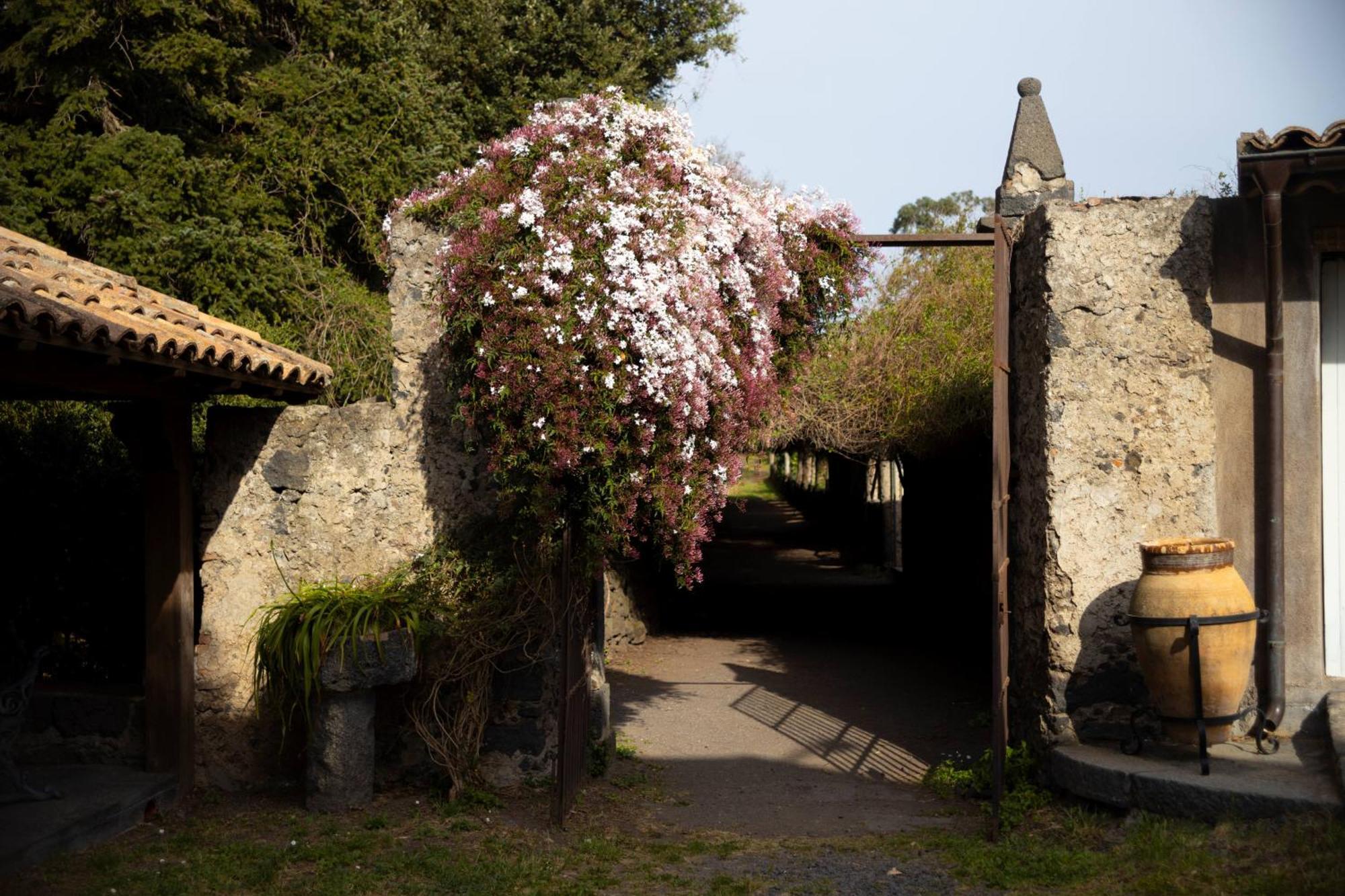 Parco Statella Βίλα Montelaguardia Εξωτερικό φωτογραφία