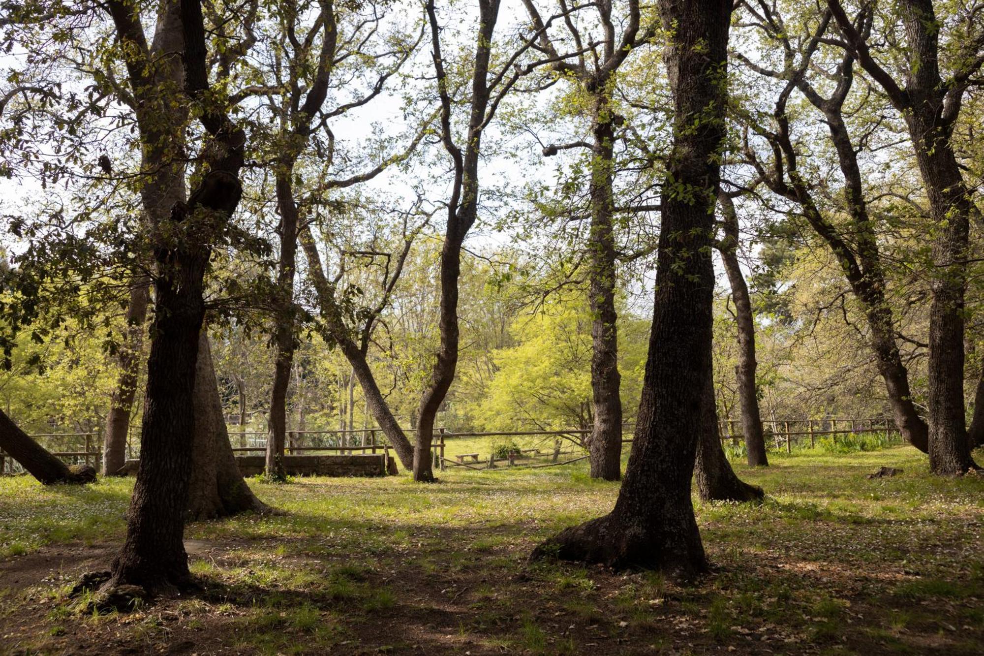 Parco Statella Βίλα Montelaguardia Εξωτερικό φωτογραφία