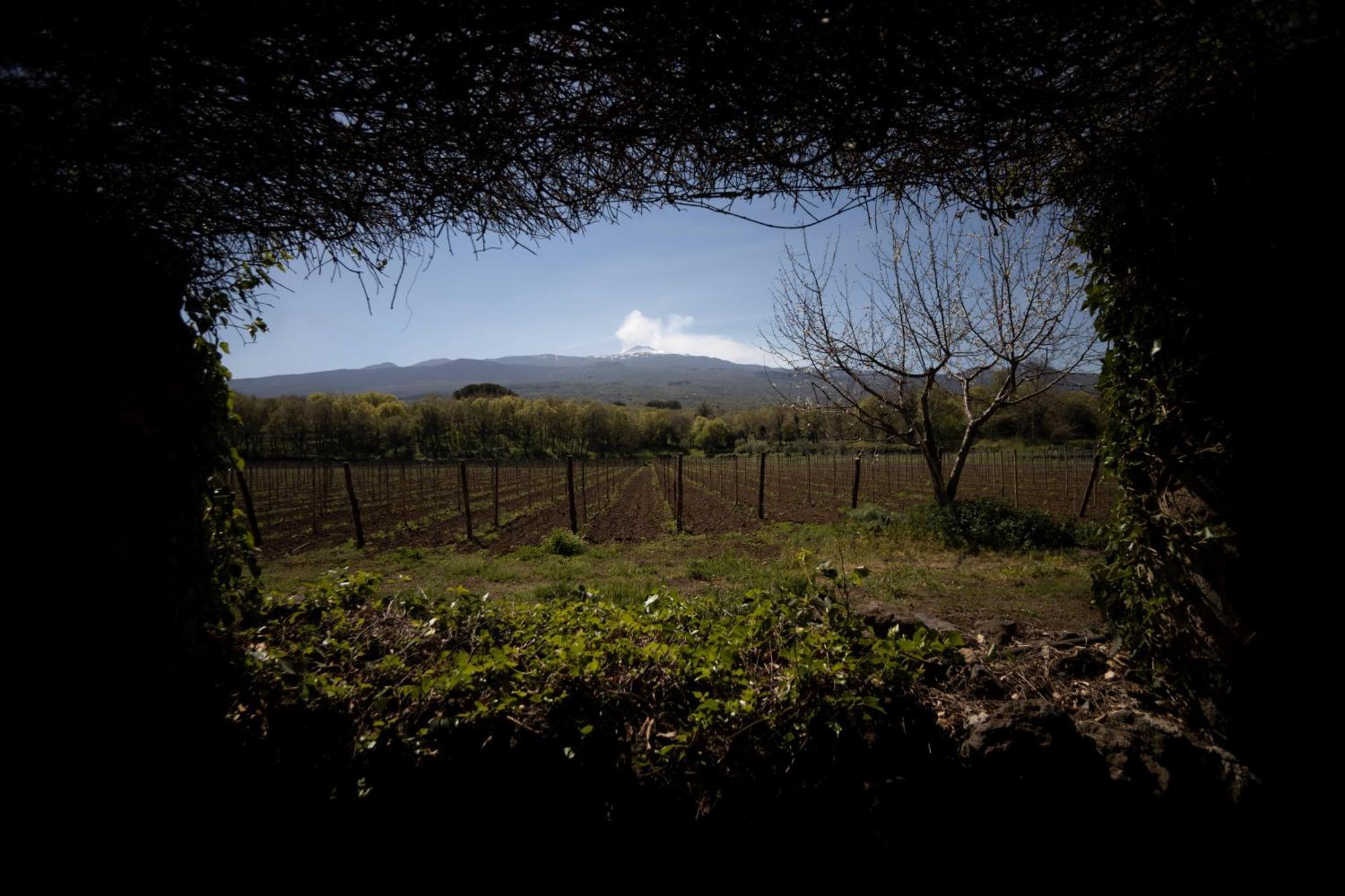 Parco Statella Βίλα Montelaguardia Εξωτερικό φωτογραφία